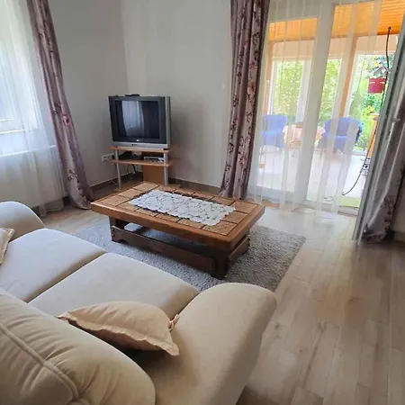 Apartment In - Balaton 40474