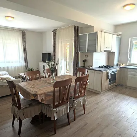 In - Balaton 40474 *