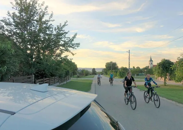 In - Balaton 40474 *